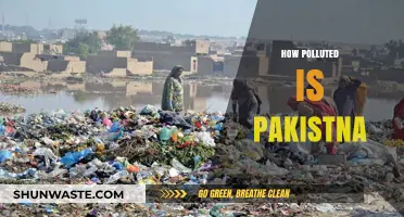 Pakistan's Pollution Crisis: A Critical Analysis
