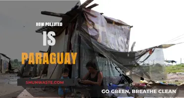 Paraguay's Pollution Problem: A Country in Crisis