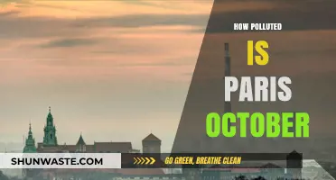 Paris Pollution in October: A Critical Review