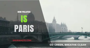 Paris Pollution: A City's Battle with Contamination