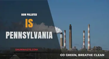 Pennsylvania's Pollution Problem: A Comprehensive Overview