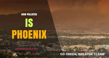Phoenix's Air Quality: A Troubling Reality