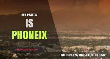 Phoenix's Pollution Problem: A Comprehensive Overview