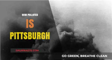Pittsburgh's Pollution Problem: A Comprehensive Overview