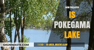 The Pollution Crisis at Pokegama Lake