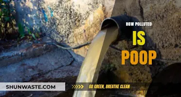 The Dirt on Poop: Pollution and Sanitation