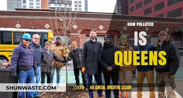 Queens' Pollution Problem: A Comprehensive Overview