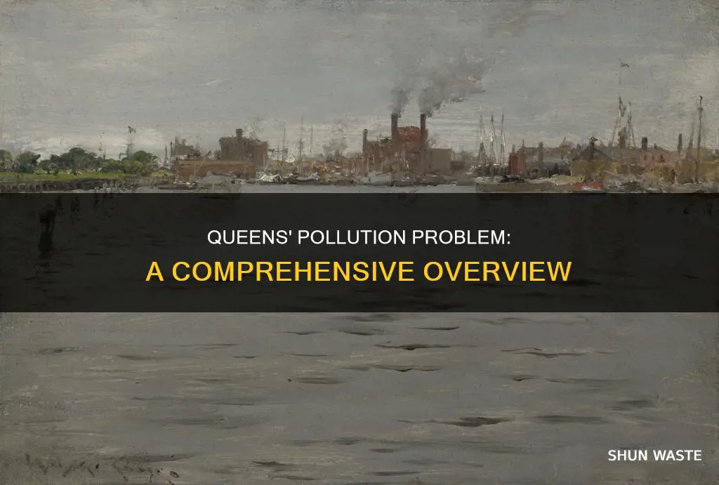 how polluted is queens