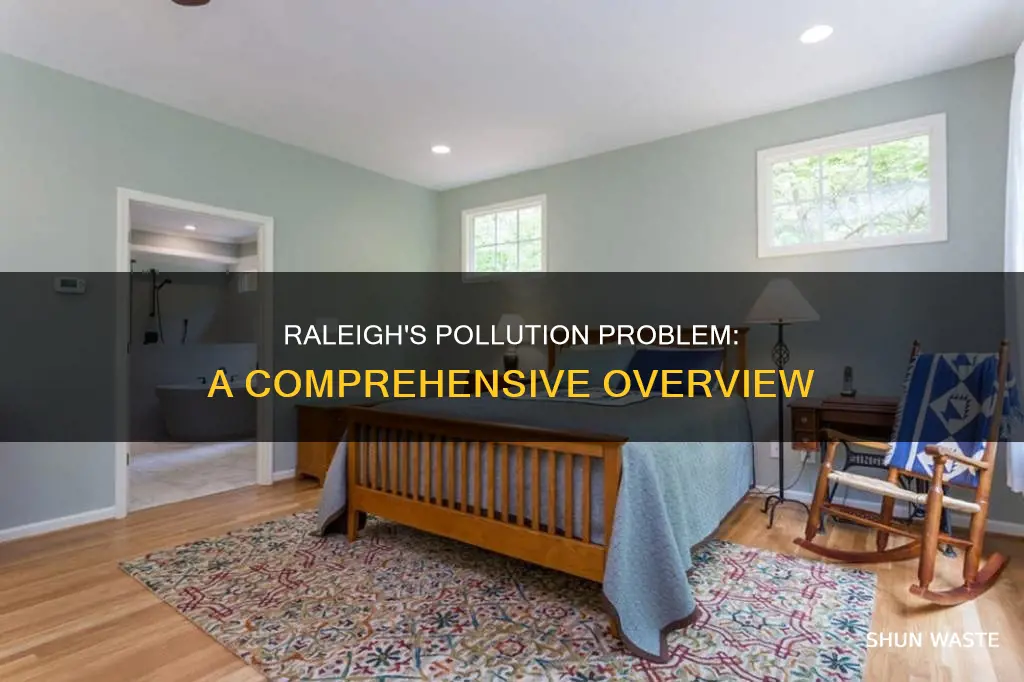 how polluted is raleigh