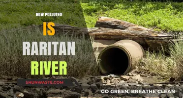 Raritan River Pollution: A Troubling Reality
