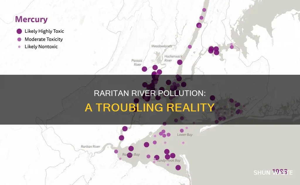 how polluted is raritan river
