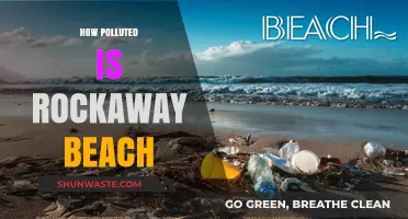 Rockaway Beach: A Polluted Paradise?