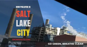 Salt Lake City's Pollution Problem: A Critical Analysis