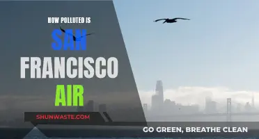 San Francisco's Air Quality: A Pollution Concern?