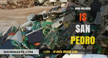 San Pedro's Pollution Problem: A Comprehensive Overview