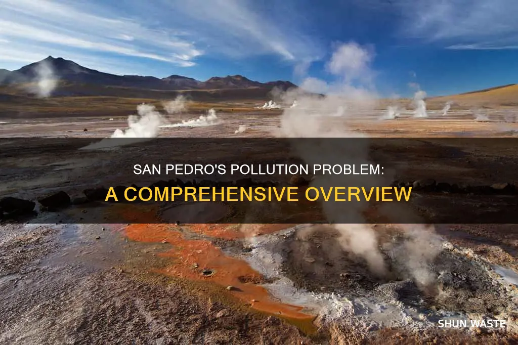 how polluted is san pedro