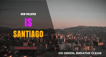 Santiago's Pollution Problem: A City's Battle