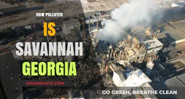 Savannah, Georgia: A City Choking on Pollution