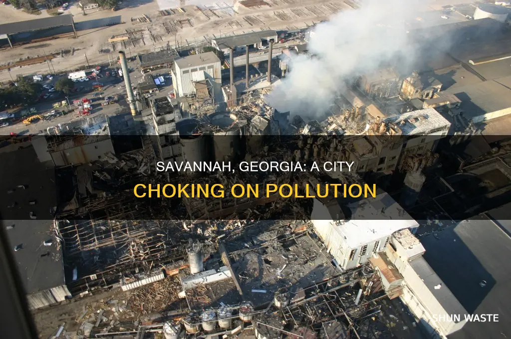 how polluted is savannah georgia