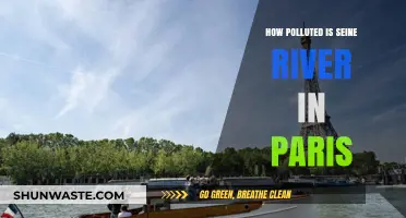 The Seine's Pollution: Paris' Dark Secret