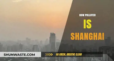 Shanghai's Pollution: A City's Battle