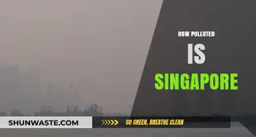 Singapore's Pollution Problem: How Bad Is It?