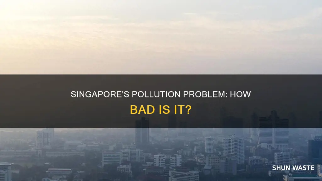 how polluted is singapore