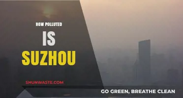 Suzhou's Pollution Problem: A Comprehensive Overview