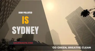 Sydney's Pollution Problem: A Comprehensive Overview