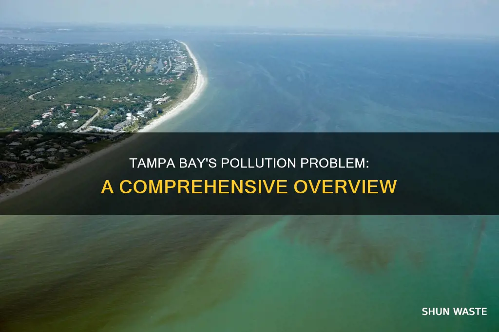 how polluted is tampa bay