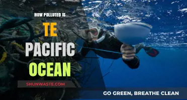 Pacific Ocean Pollution: A Deep Crisis