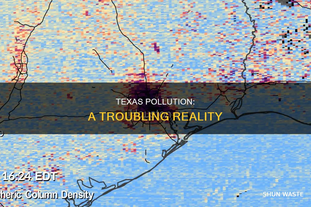 how polluted is texas