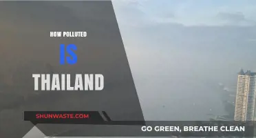 Thailand's Pollution Crisis: A Comprehensive Overview