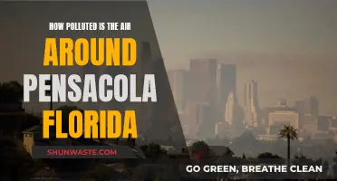 Pensacola's Air Quality: A Pollution Concern?