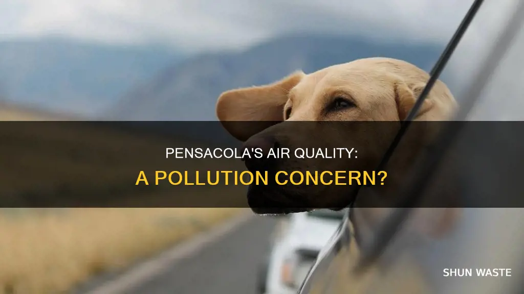 how polluted is the air around pensacola florida