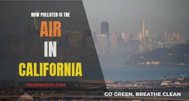 California's Air Quality: A Troubling Pollution Picture