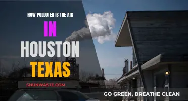 Houston's Air Quality: A Health Concern?