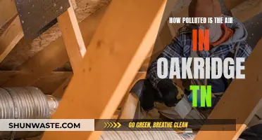 Oak Ridge, TN: Air Quality and Pollution Problems