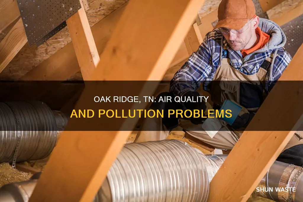 how polluted is the air in oakridge tn