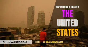 Air Pollution in the US: A Troubling Reality