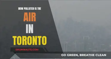 Toronto's Air Quality: A Concerning Pollution Problem
