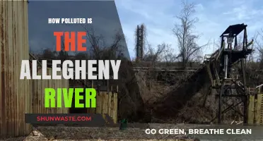 The Allegheny River: A Polluted Paradise?