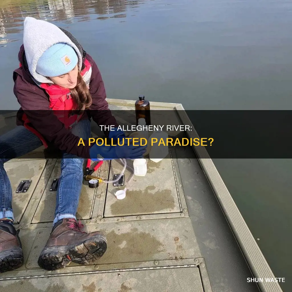 how polluted is the allegheny river