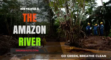 Amazon River Pollution: A Growing Environmental Concern