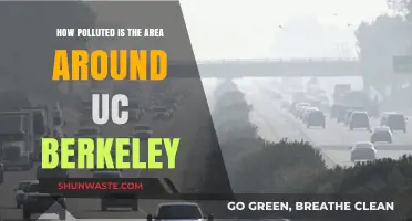 Berkeley's Air: A Polluted Academic Environment