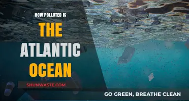 The Atlantic Ocean: A Polluted Paradise?