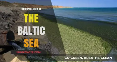 The Baltic Sea Pollution Crisis