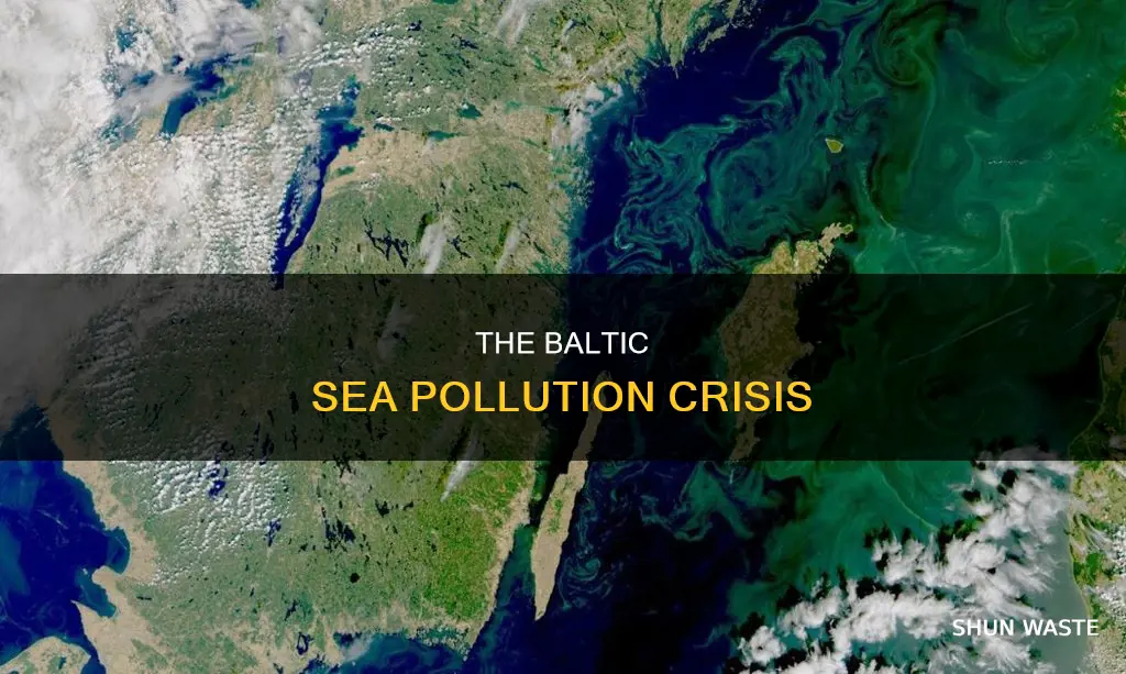 how polluted is the baltic sea