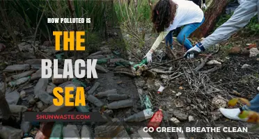 Black Sea Pollution: A Troubling Reality