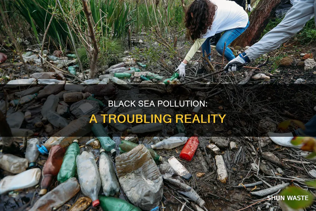 how polluted is the black sea